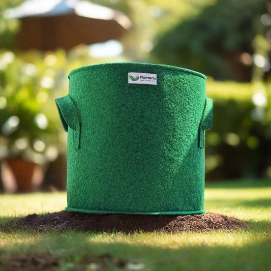 Magic Grow Bags for Planting